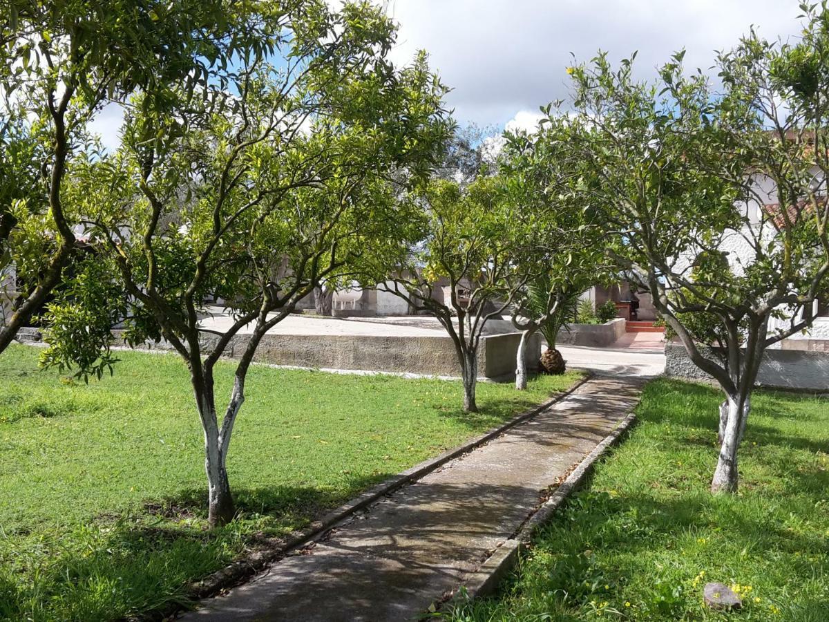 B&B I 4 Venti Sassari Bagian luar foto