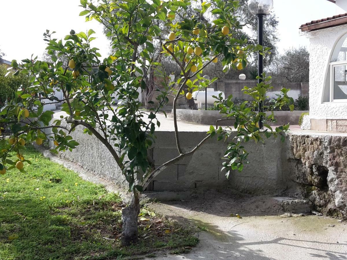 B&B I 4 Venti Sassari Bagian luar foto