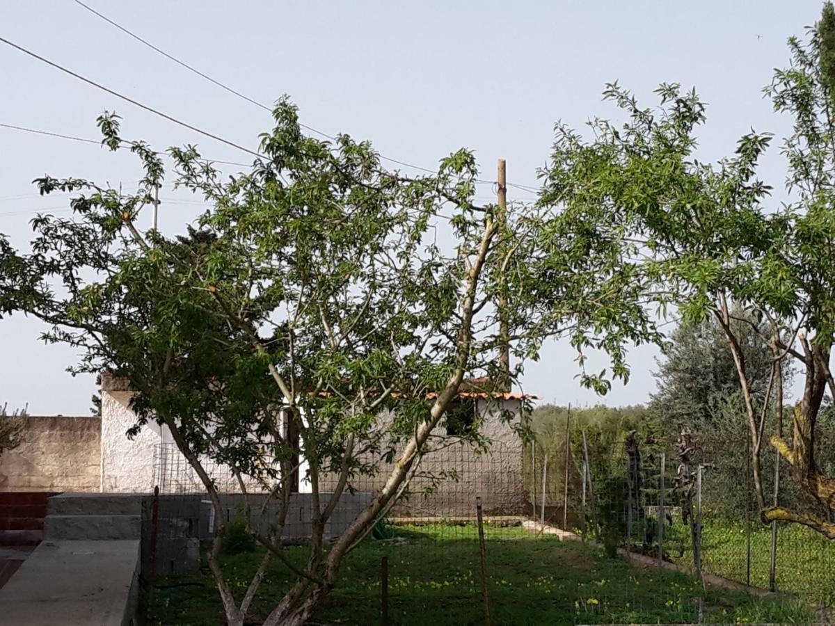 B&B I 4 Venti Sassari Bagian luar foto